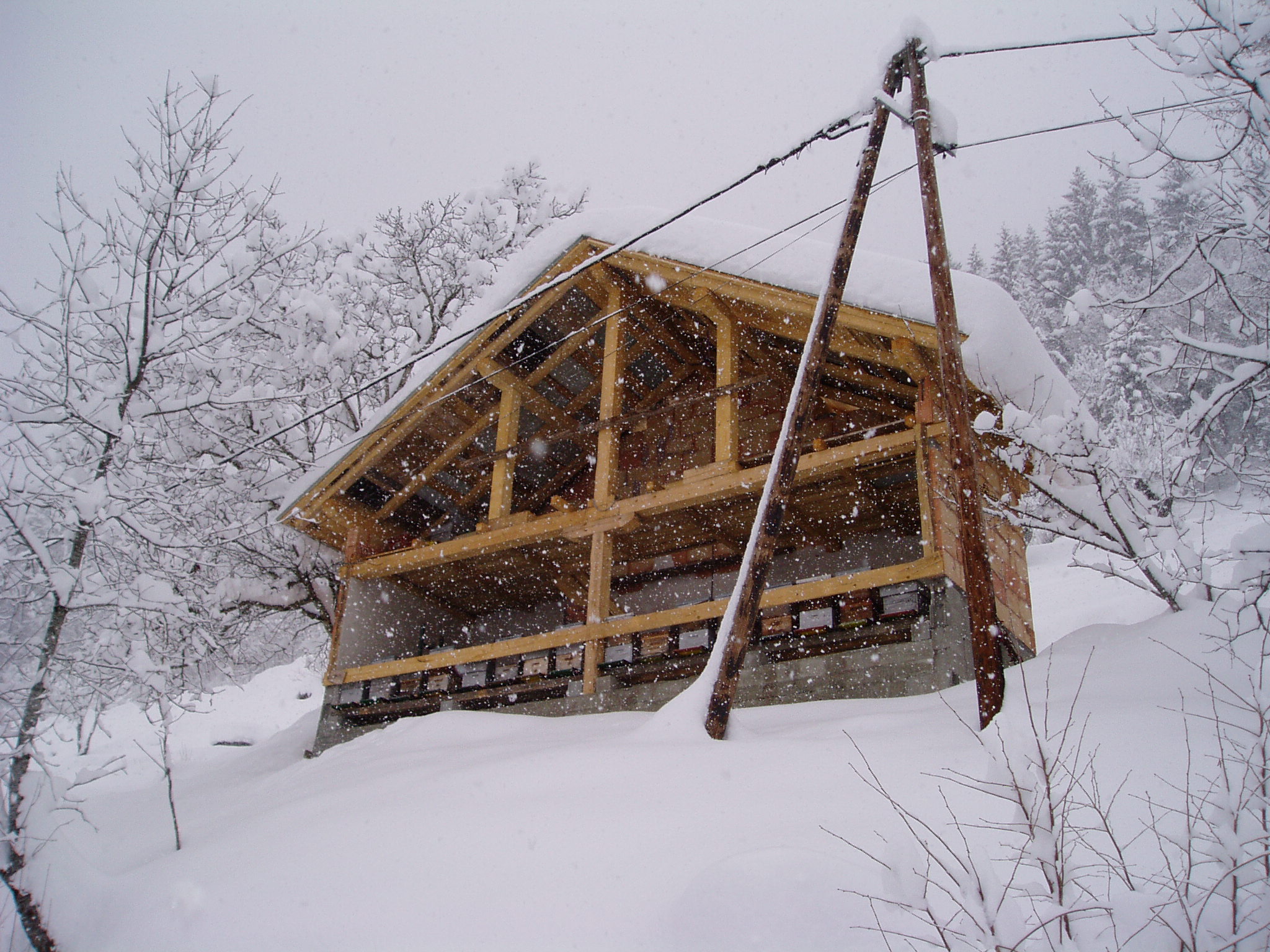Le rucher en février 2016